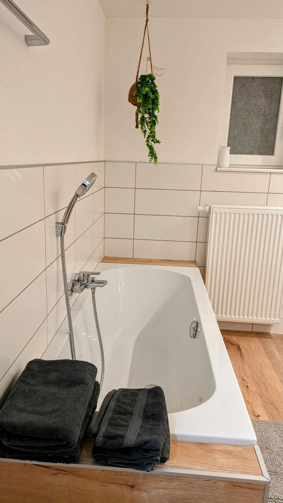 Ferienwohnung Albbruck/Albert المظهر الخارجي الصورة